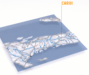 3d view of Ca Roi