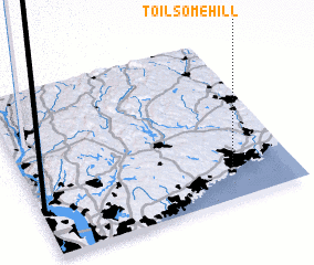 3d view of Toilsome Hill