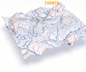 3d view of Toraya