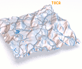 3d view of Toca