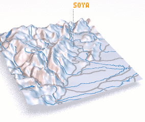 3d view of Soya