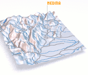 3d view of Medina