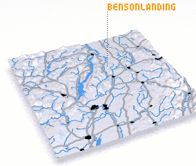 3d view of Benson Landing