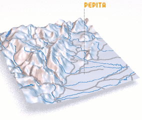 3d view of Pepita