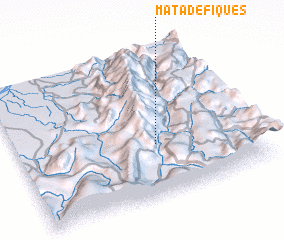 3d view of Mata de Fiques