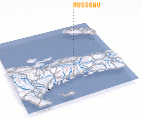 3d view of Musseau