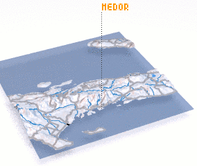 3d view of Médor