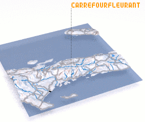 3d view of Carrefour Fleurant