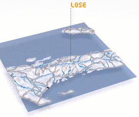 3d view of Lose