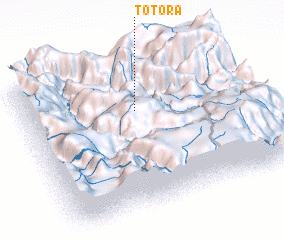 3d view of Totora