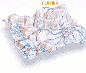 3d view of Florida