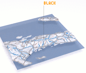 3d view of Black