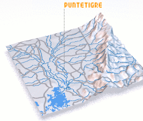 3d view of Puntetigre