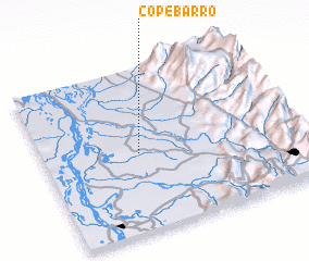 3d view of Copebarro