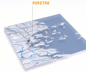 3d view of Pupetra