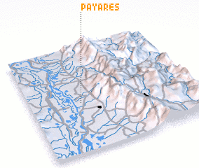 3d view of Payares