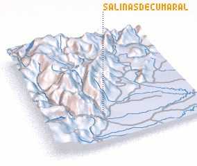 3d view of Salinas de Cumaral