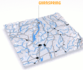 3d view of Gurn Spring