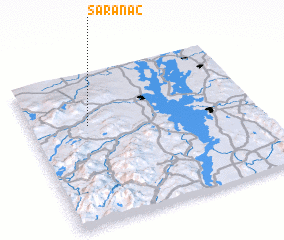 3d view of Saranac