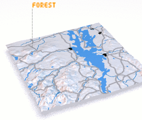 3d view of Forest
