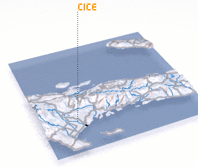 3d view of Cice