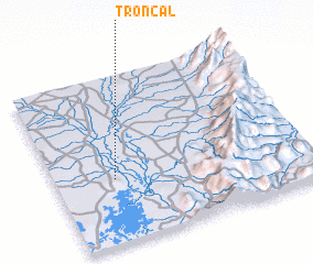 3d view of Troncal