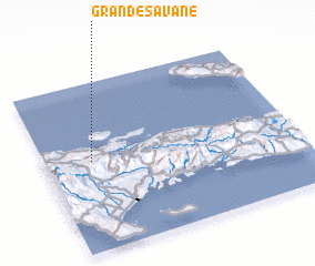 3d view of Grande Savane