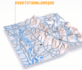 3d view of Puerto Tamalameque