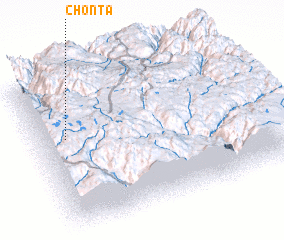 3d view of Chonta