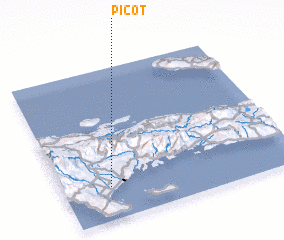 3d view of Picot