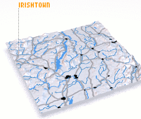 3d view of Irishtown