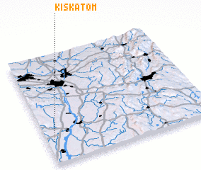 3d view of Kiskatom