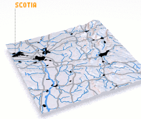 3d view of Scotia