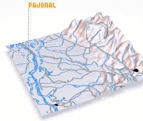 3d view of Pajonal