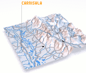 3d view of Carnisala