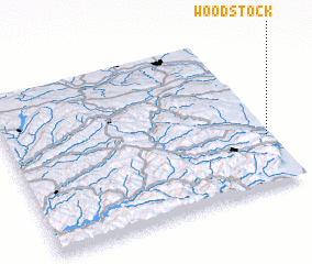 3d view of Woodstock