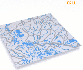 3d view of Cali