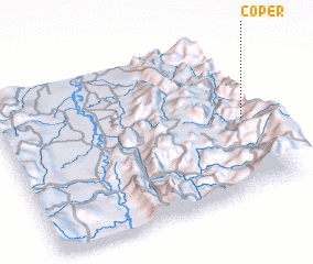 3d view of Coper