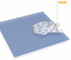 3d view of Toman