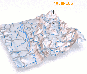 3d view of Muchales