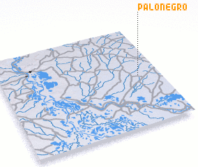 3d view of Palo Negro