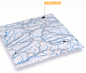 3d view of Hagaman