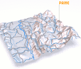 3d view of Paime