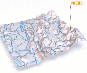 3d view of Pacho