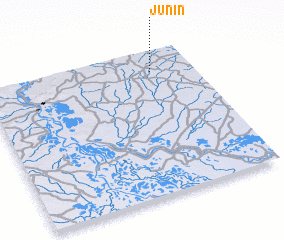 3d view of Junín