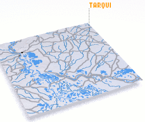 3d view of Tarqui