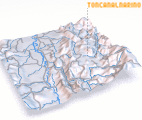 3d view of Toncanal Nariño