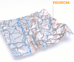 3d view of Pasuncha