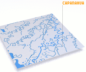 3d view of Capanahua