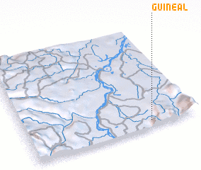 3d view of Guineal